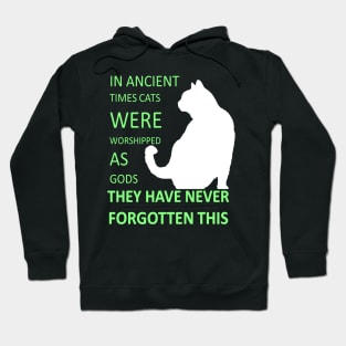 In Ancient Times Cats Were Worshipped As Gods v6 Hoodie